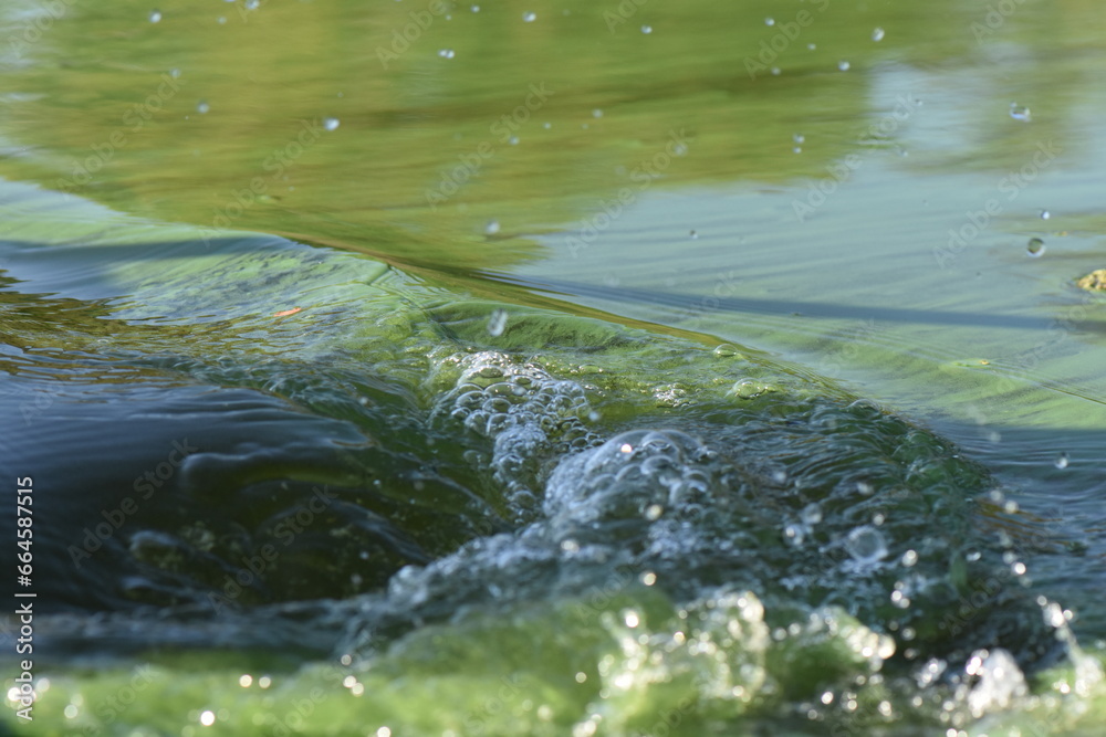 Naklejka premium green river water splashes