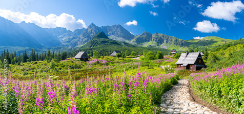 pathway through flowers meadow on hala gasienicowa in Tatra mountains in Poland photo