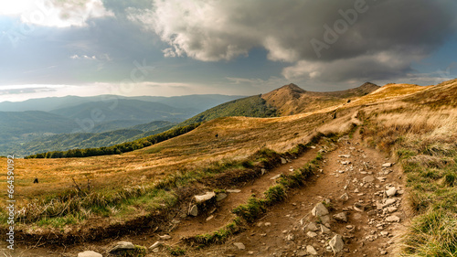 Fototapeta Naklejka Na Ścianę i Meble -  Polonina Wetlinska, Bieszczady mountain, Bieszczady National Park, Poland.