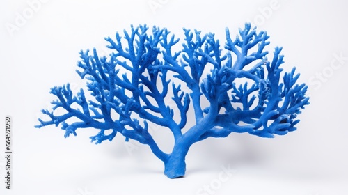 blue corals on white background.