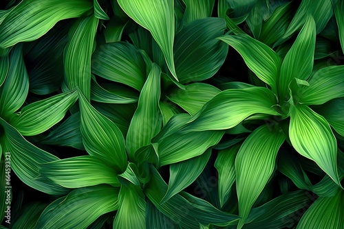 A plant with lots of large green leaves.