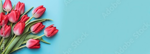 Bouquet of red tulip on blue Background. Top view with copy space.