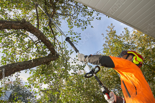Tree surgeon. Working with a chainsaw. Sawing wood with a chainsaw.