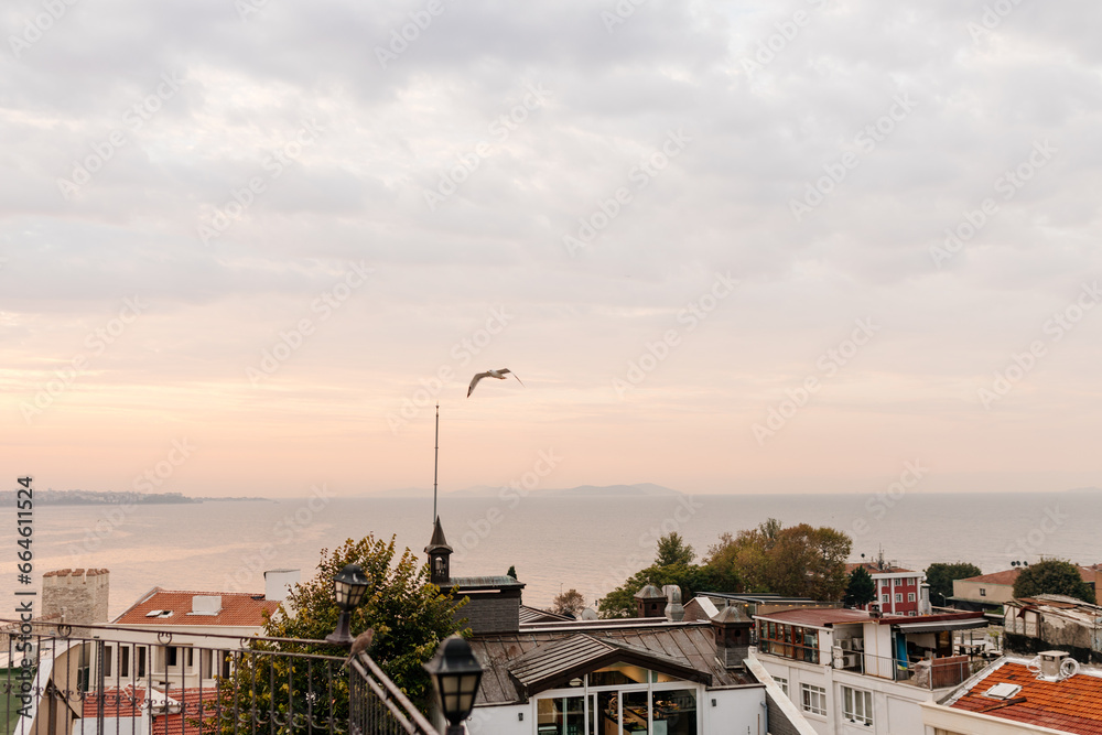 Beautiful landscape with sunrise over the city roofs, the bay and the city in the background. Dawn from the roofs of Istanbul overlooking the Bosphorus. Istanbul, Türkiye - October 16, 2023
