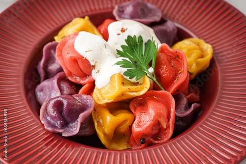 Colorful pelmeni dumplings ...