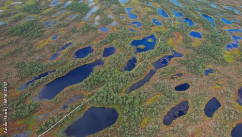 Aerial video of a bog in Estonia photo