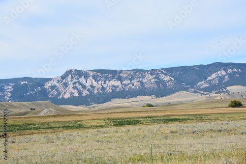 Cold Wyoming morning