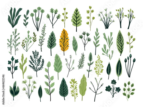 Doodle Bitter Herbs, cartoon sticker, sketch, vector, Illustration, minimalistic