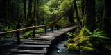 Rustic wooden boardwalk leading to a secluded thermal spring, surrounded by lush ferns and moss