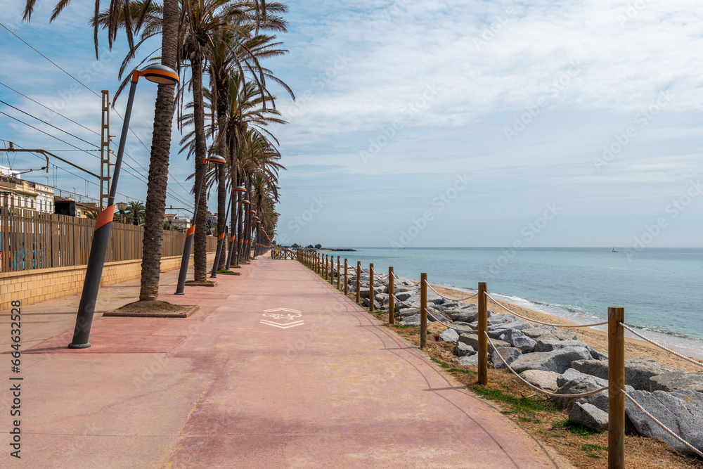 Waterfront with palms row and sand beach in Vilassar de Mar