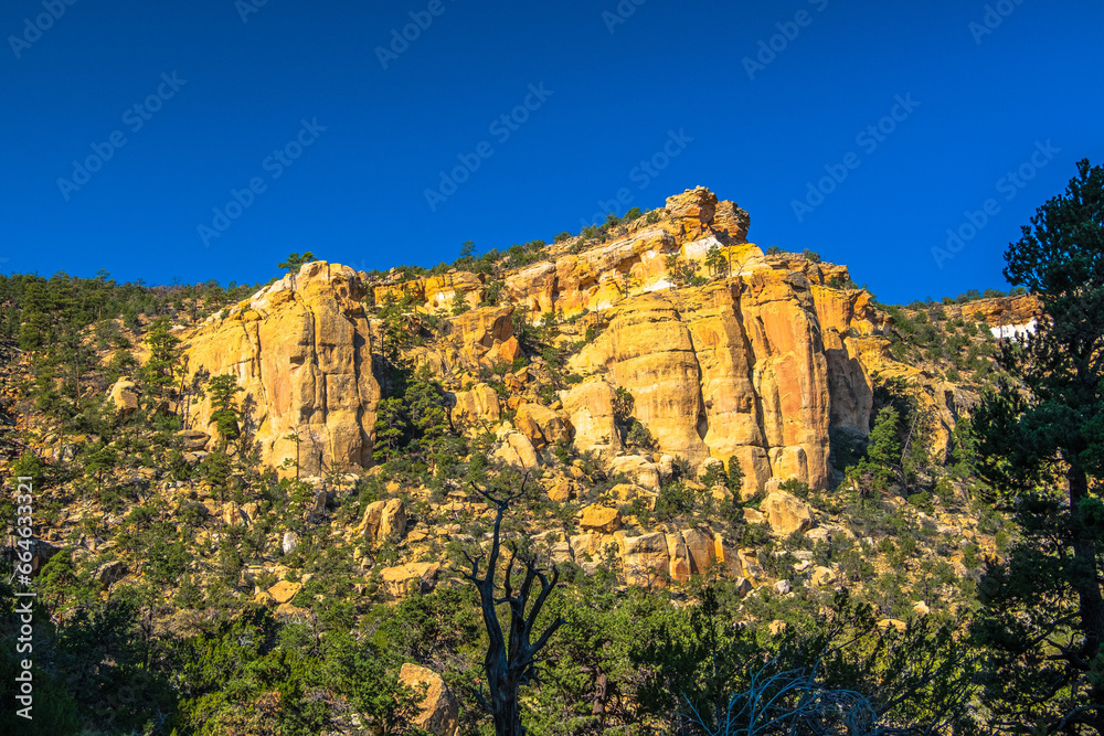 Afternoon view of sandstone cliffs  framed by foliage near Grants New Mexico