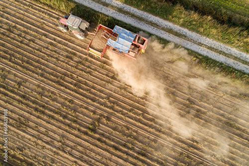 drone aerial view of a tractor and a combine harvester working in a potato field