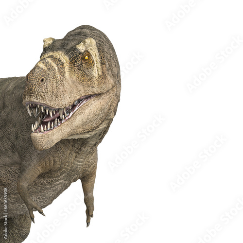Fotografija tyrannosaurus rex is angry and is looking back on close up side view with copy s