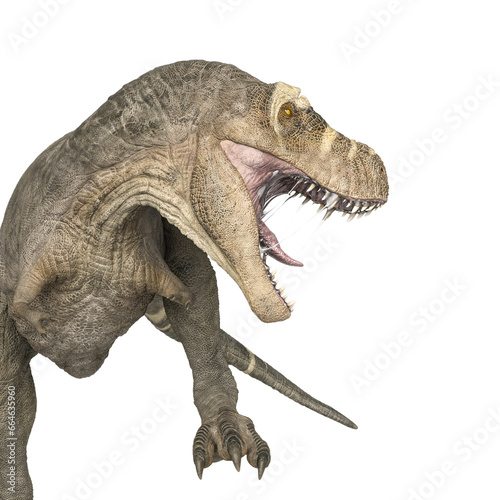 tyrannosaurus rex is angry on close up side view © DM7
