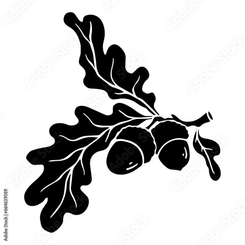Silhouette of an oak branch with acorns and leaves. Vector graphics.