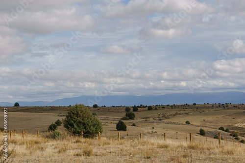 Landscape of spanish high plateau near canyon of river Duraton in Hoces del Duraton natural park with view at Sierra Guadarrama, Segovia, Spain