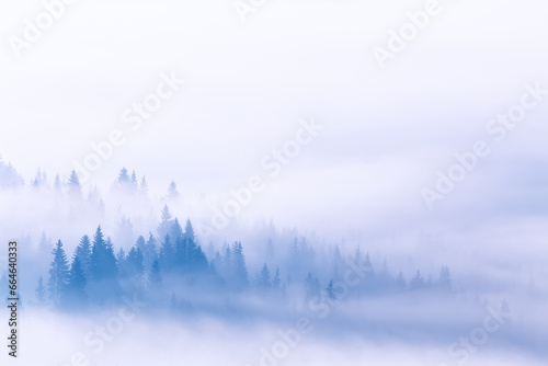 Fog and clouds on mountain hills. Spruce Wood Silhouette Surrounded by mist on white. Slow moving clouds over pine forest. Carpathian range