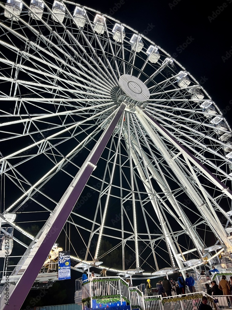Fototapeta premium ferris wheel at night