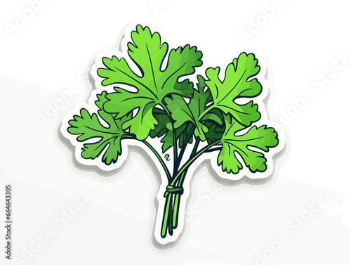 Doodle Parsley sprig, cartoon sticker, sketch, vector, Illustration, minimalistic