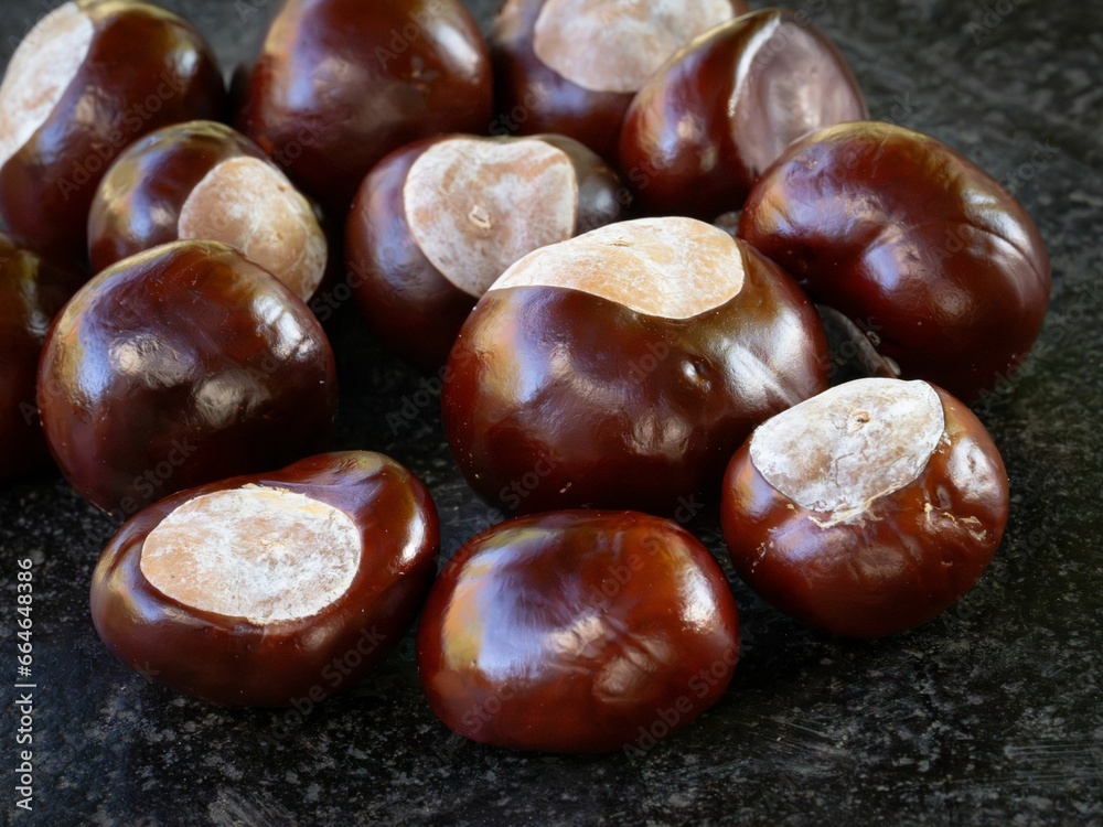 Close-up image of a collection of freshly harvested chestnuts spread across the surface Close-up image of a collection of freshly harvested chestnuts spread across the surface