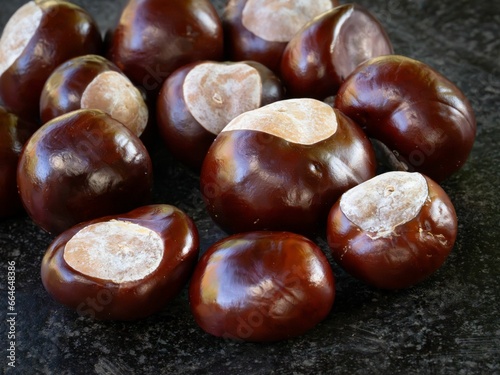 Close-up image of a collection of freshly harvested chestnuts spread across the surface
