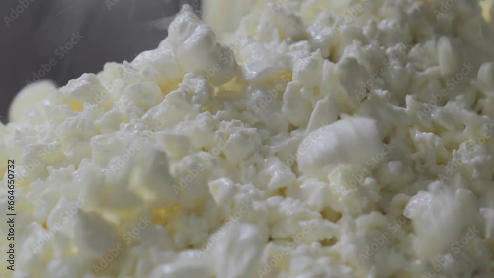 Cheesemaking. Close up of Freshly Made Curd Falling into a Container. Manufacturing of Dairy Based Products. Curdling Process. Processing of Cows Milk. Extraction of Cream. Modern Equipment. Cheesemaking. Close up of Freshly Made Curd Falling into a Container. Manufacturing of Dairy Based Products. Curdling Process. Processing of Cows Milk. Extraction of Cream. Modern Equipment.