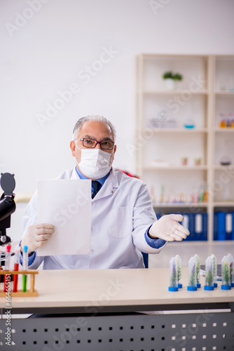 Old male chemist in drugs synthesis concept