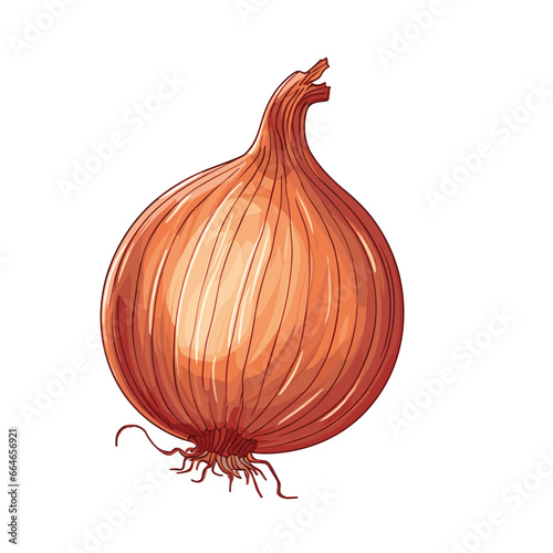 Wallpaper Mural Hand Drawn Flat Color Onion Illustration Torontodigital.ca