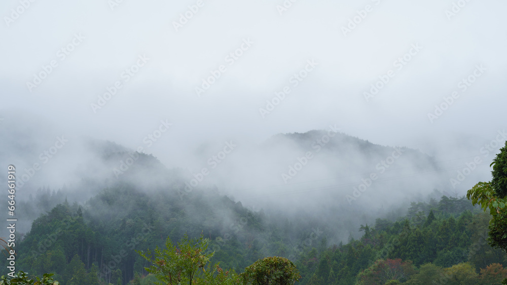 Fototapeta premium 濃霧の山｜日本の自然風景