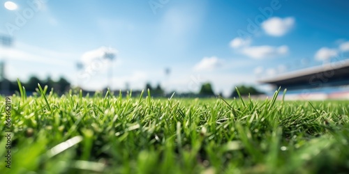 Green grass at a stadium against a blue sky photo