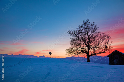 Allgäu - Winter - Stadel - Hütte - Alpe - Baum - Sonnenuntergang