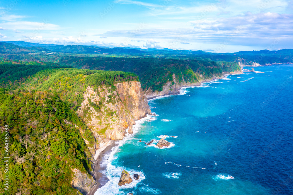Fototapeta premium 鵜の巣断崖（岩手県田野畑村）