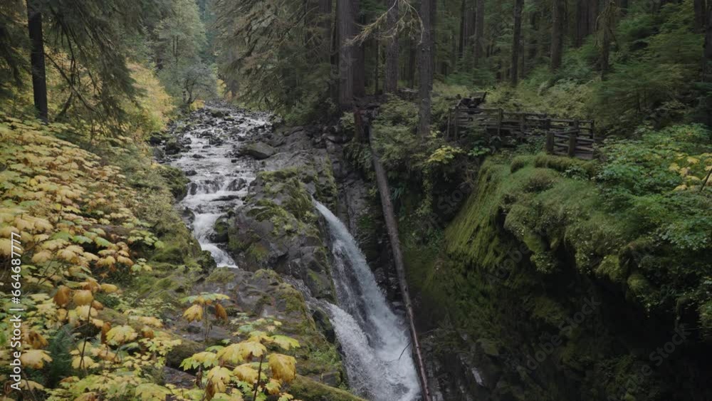 Sol Duc Falls Waterfalls at Old Growth Trees amid a Lush Rain Forest Landscape in Olympic National Park, Washington, USA Sol Duc Falls Waterfalls at Old Growth Trees amid a Lush Rain Forest Landscape in Olympic National Park, Washington, USA