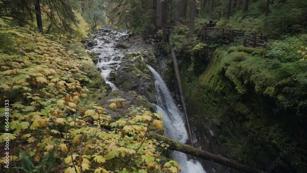 Sol Duc Falls Waterfalls at Old Growth Trees amid a Lush Rain Forest Landscape in Olympic National Park, Washington, USA Sol Duc Falls Waterfalls at Old Growth Trees amid a Lush Rain Forest Landscape in Olympic National Park, Washington, USA