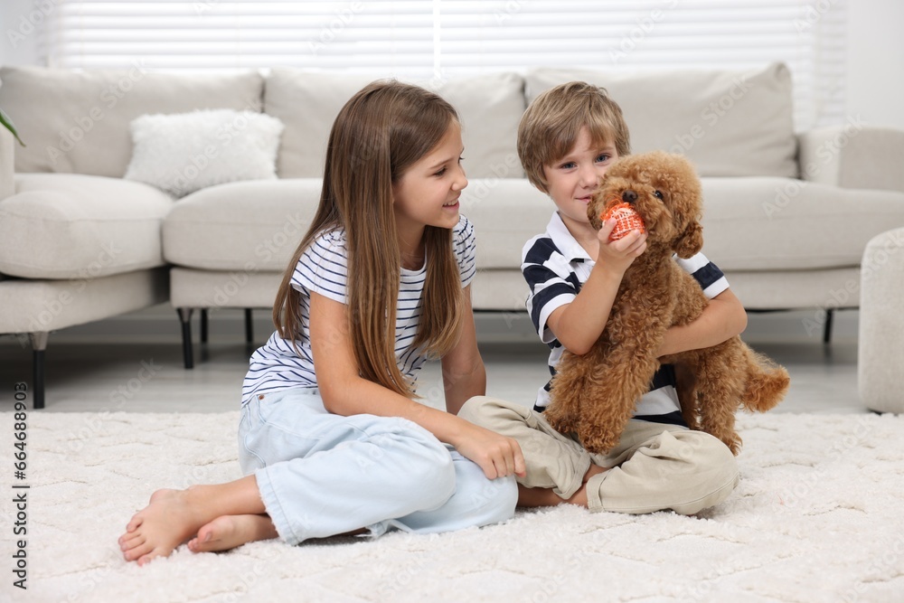 Little children playing with cute puppy on carpet at home. Lovely pet