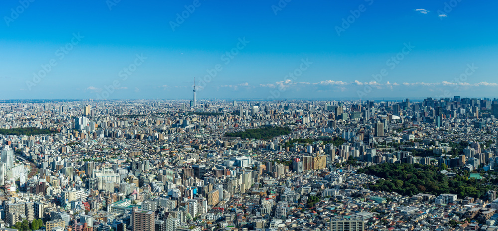 High Dense houses and buildings at Greater Tokyo area at daytime. High Dense houses and buildings at Greater Tokyo area at daytime.