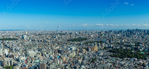 High Dense houses and buildings at Greater Tokyo area at daytime.