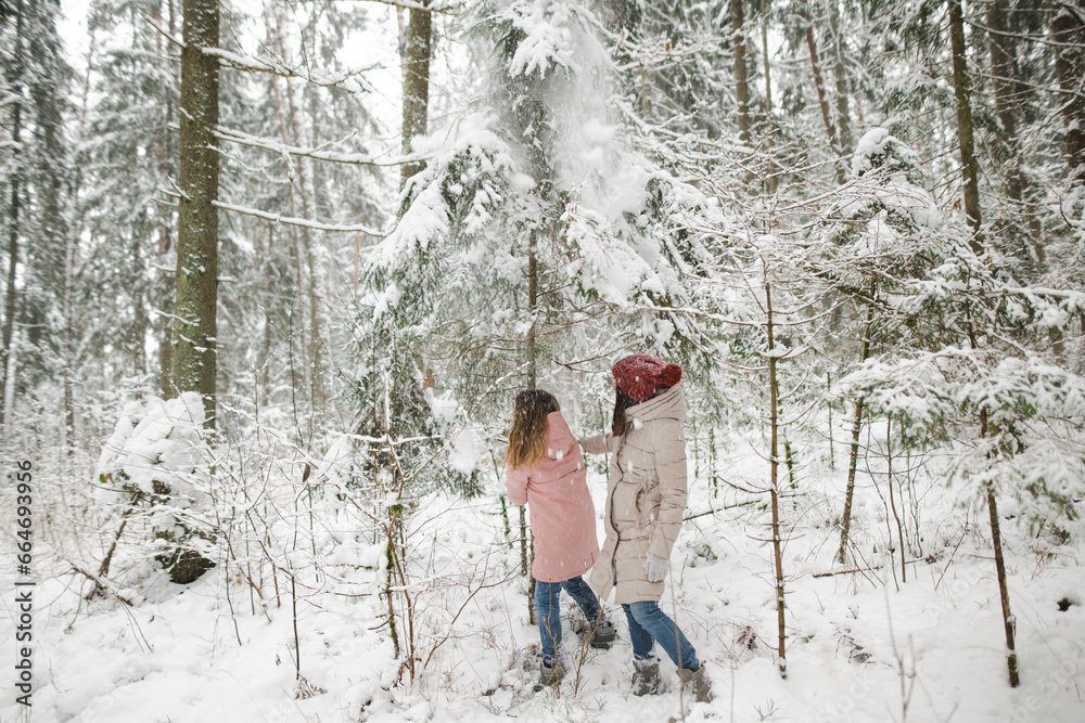 Cute teen girl and her mother having fun on a walk in snow covered pine forest on chilly winter day. Teenage child exploring nature.
