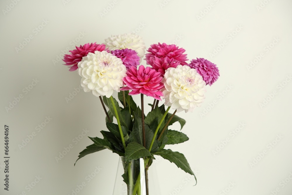 Fototapeta premium Bouquet of beautiful Dahlia flowers near white wall