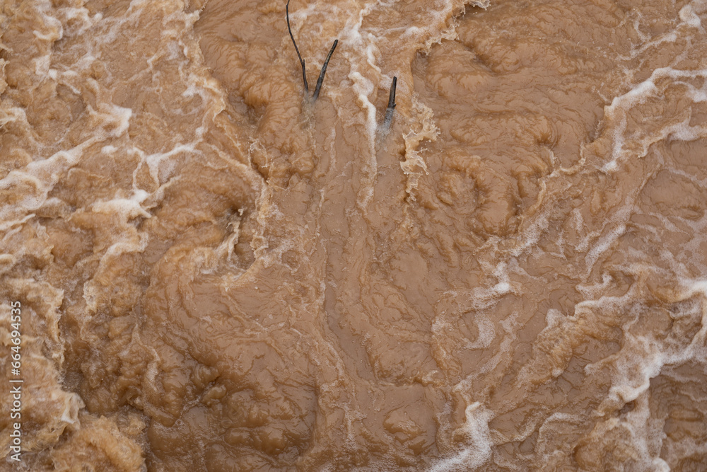 Obraz premium Floodwaters
