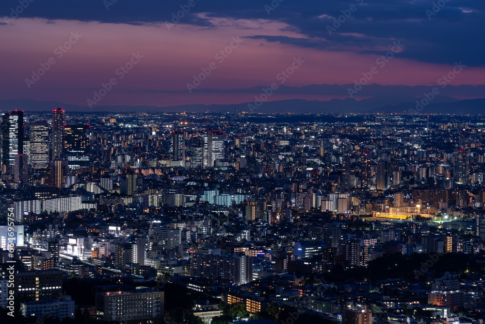 Panoramic view of the Greater Tokyo area at dusk.