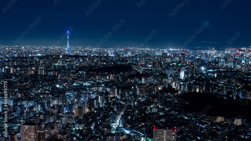 Obraz premium Panoramic view of the Greater Tokyo area at dusk.