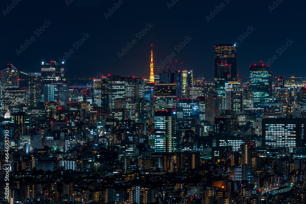 Cityscape of greater Tokyo area with Tokyo tower at dusk.
