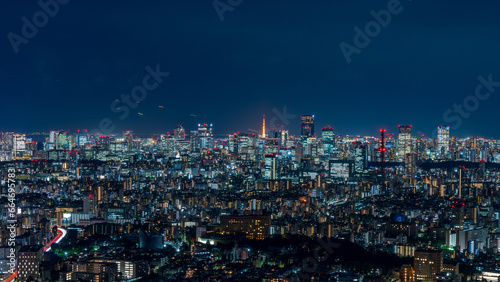 Panoramic view of the Greater Tokyo area at dusk. © hit1912
