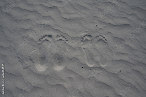 Foot Prints in the Sand