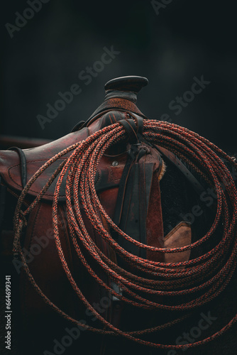 rustic vintage saddle with lariat rope