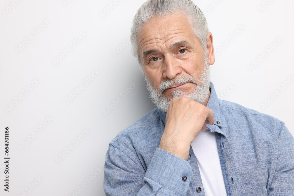 Portrait of handsome senior man on white background. Space for text Portrait of handsome senior man on white background. Space for text