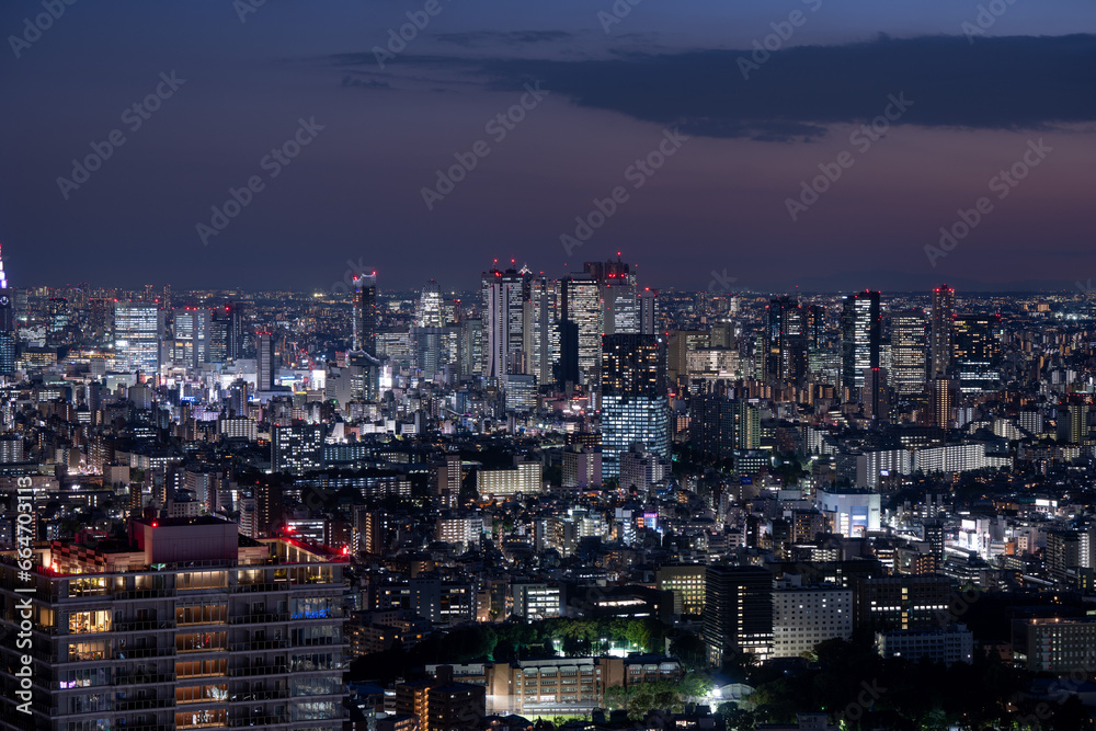 Tokyo Shinjuku area high rise buildings at dusk.