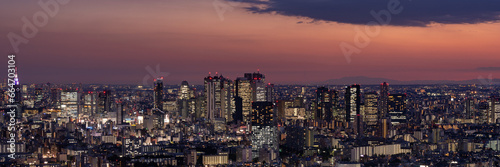 Panoramic view of Tokyo Shinjuku and Yoyogi area high rise buildings at golden hour. © hit1912