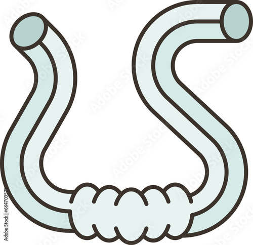 vascular  icon
